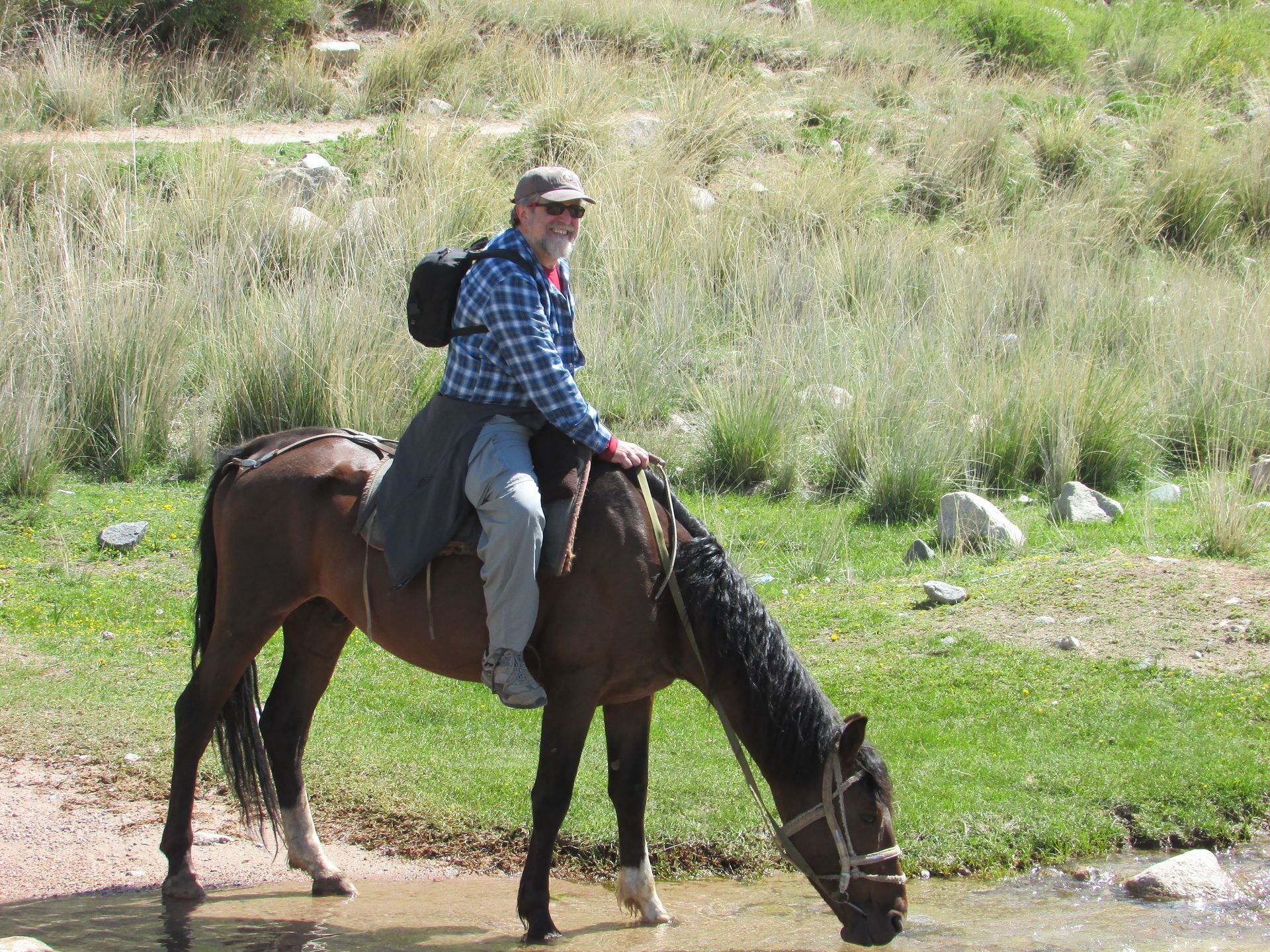 Horse trek