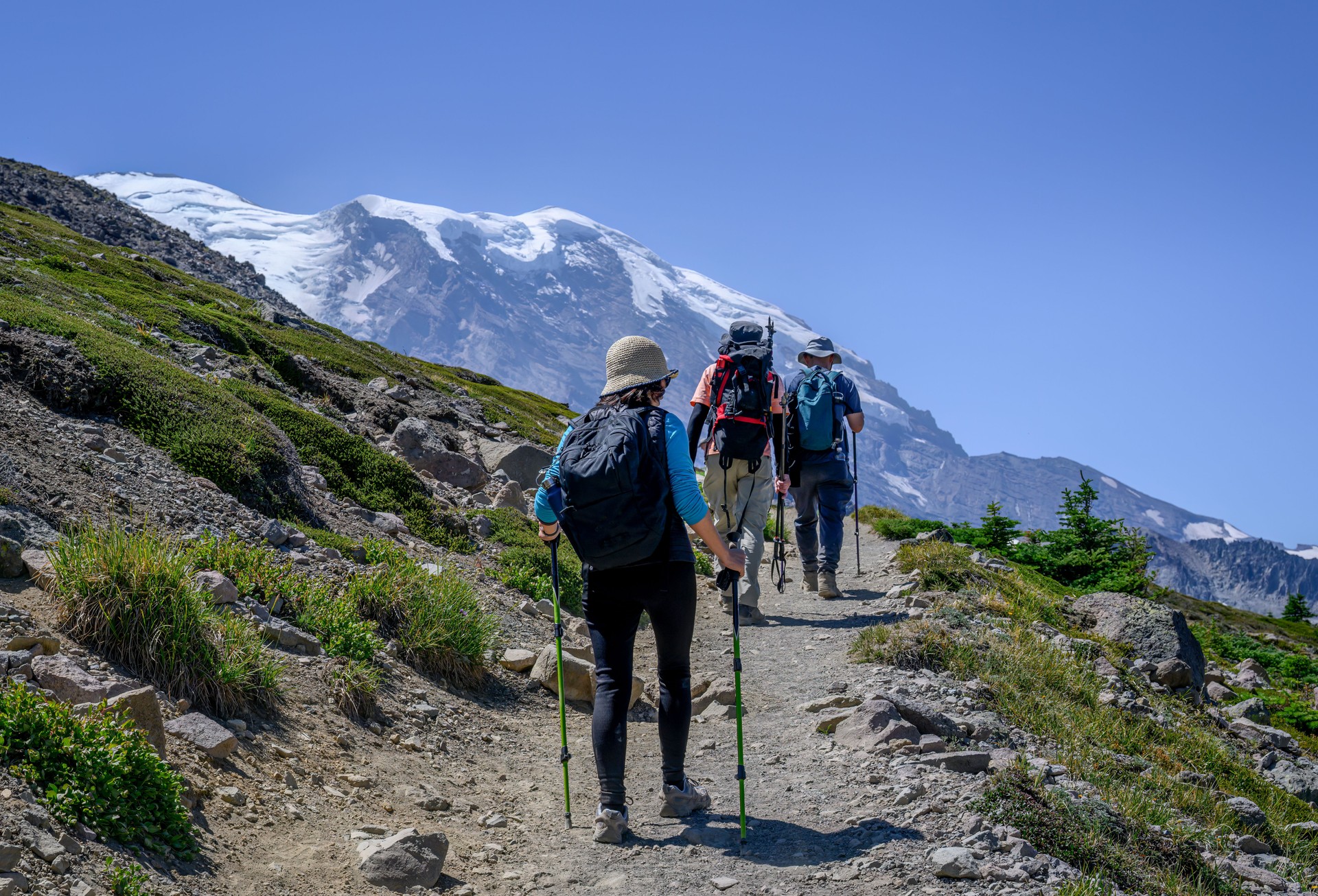 Three people hiking Sunrise Trail in summer. Snow-capped Mount Rainier looming large in front. Washington State.