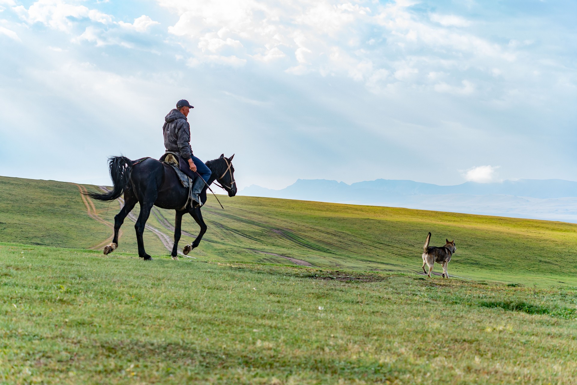 A Kyrgyz farmer on a horse with a dog.